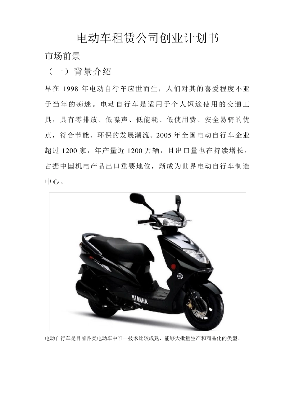 电动车租赁公司创业计划书_第2页