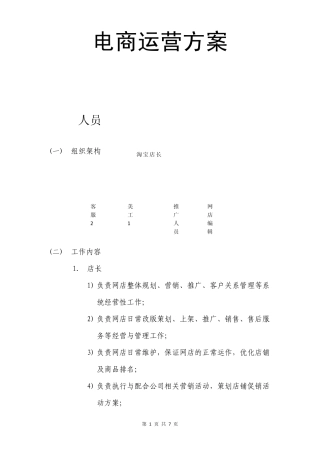 电商运营方案运营工作内容范文模板
