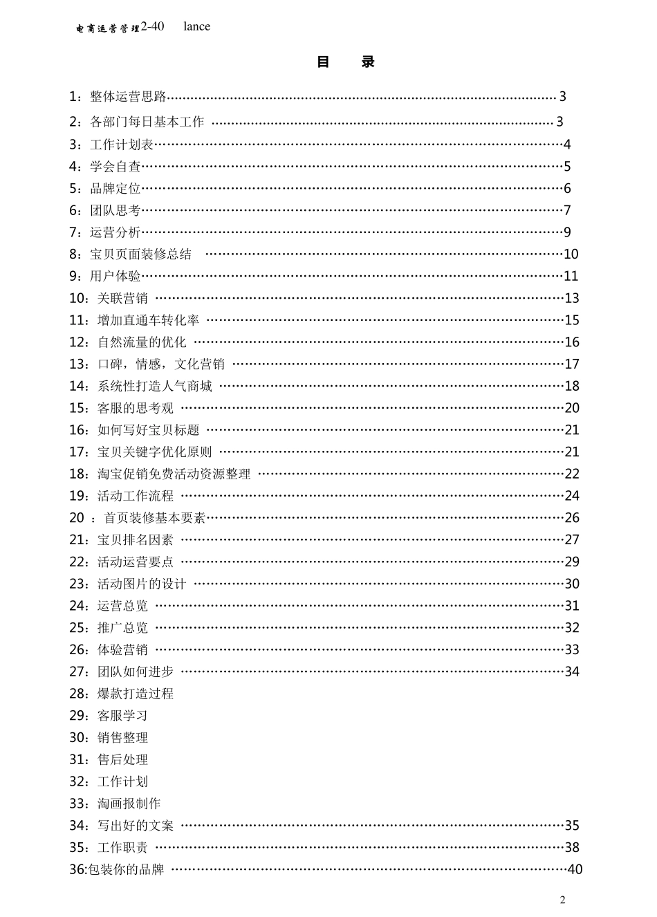 电商运营管理手册_第2页