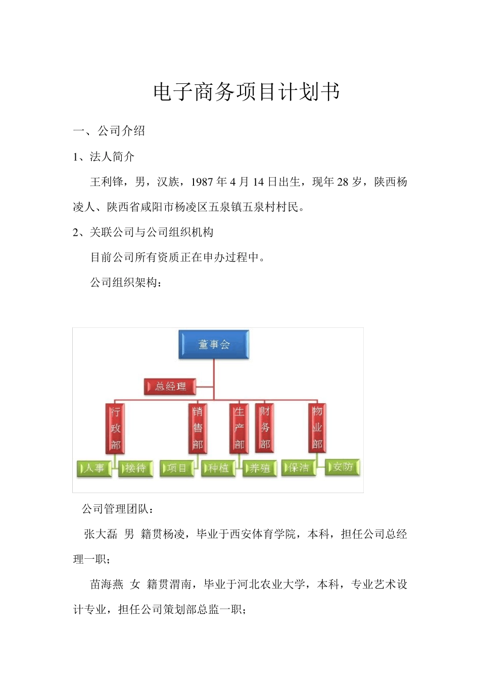 电商项目计划书_第1页