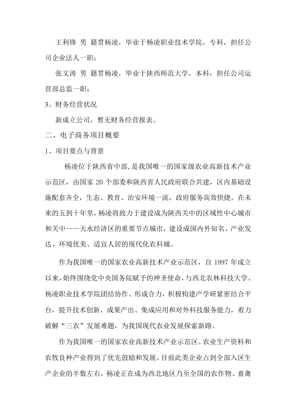 电商项目计划书_第2页