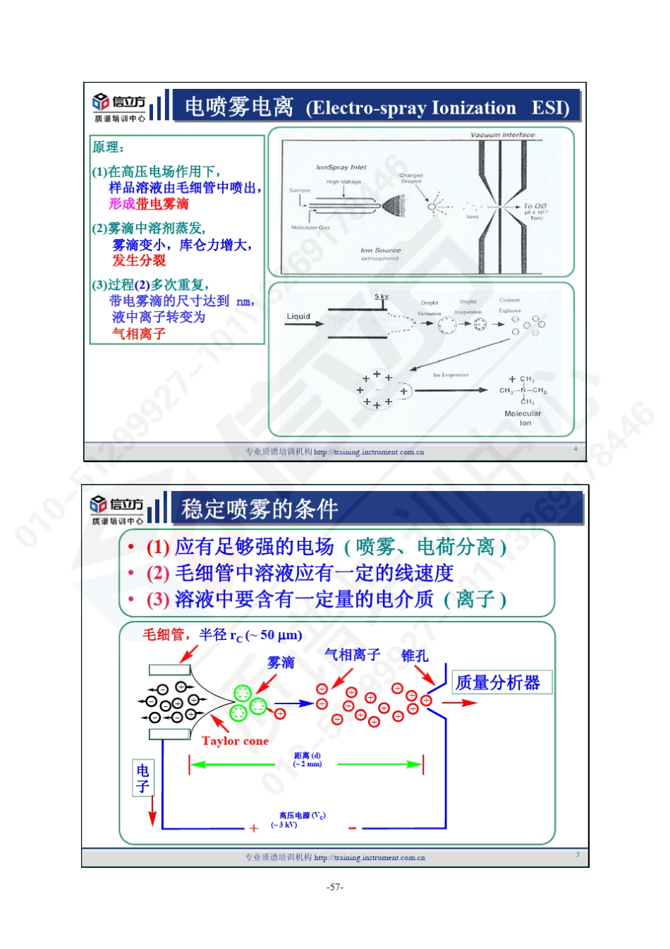 电喷雾电离技术_第3页