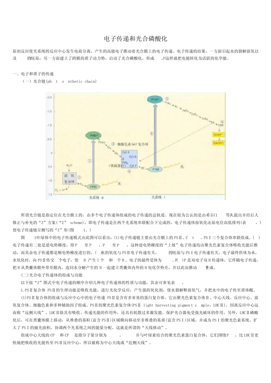 电子传递和光合磷酸化_第1页