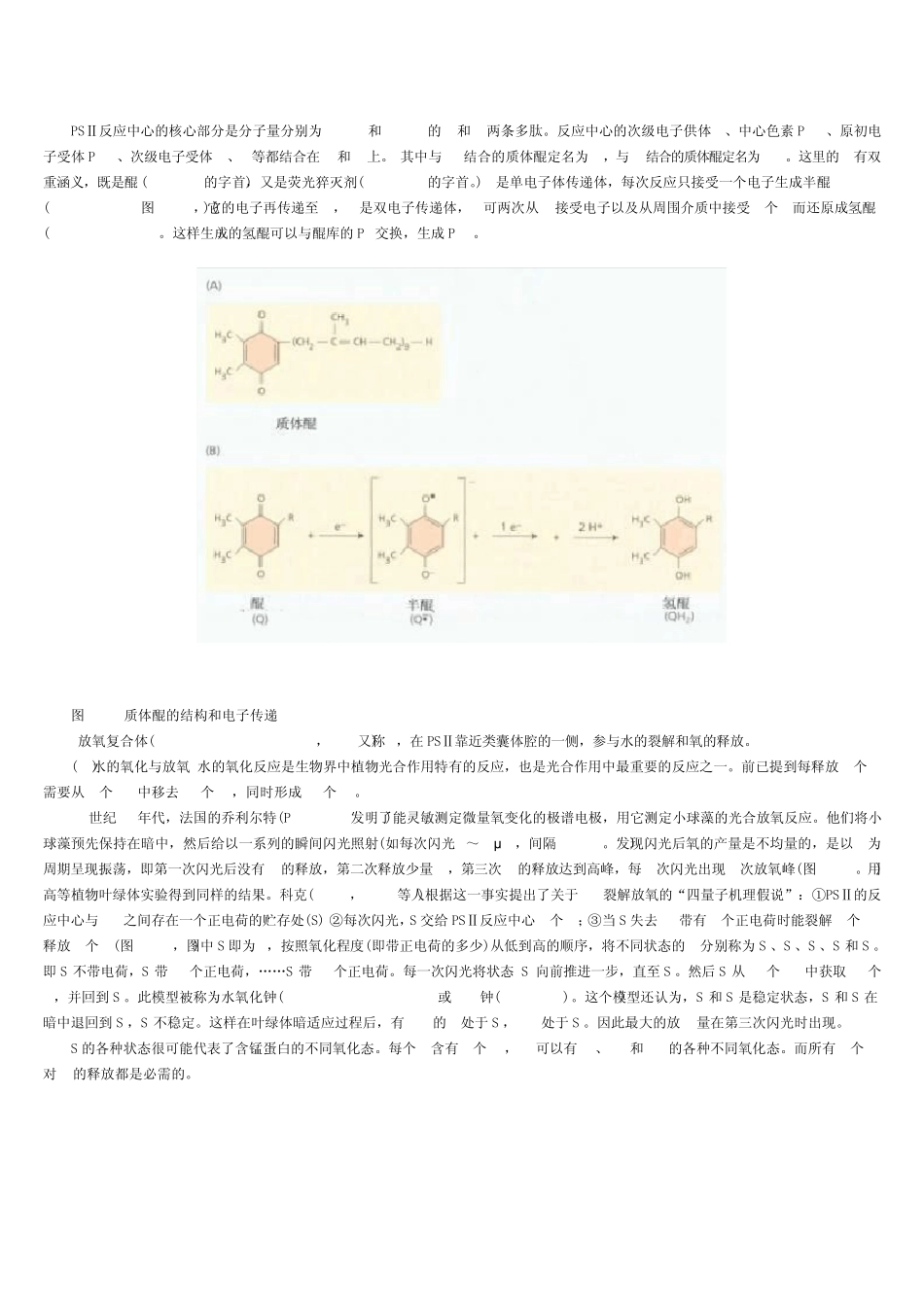 电子传递和光合磷酸化_第2页