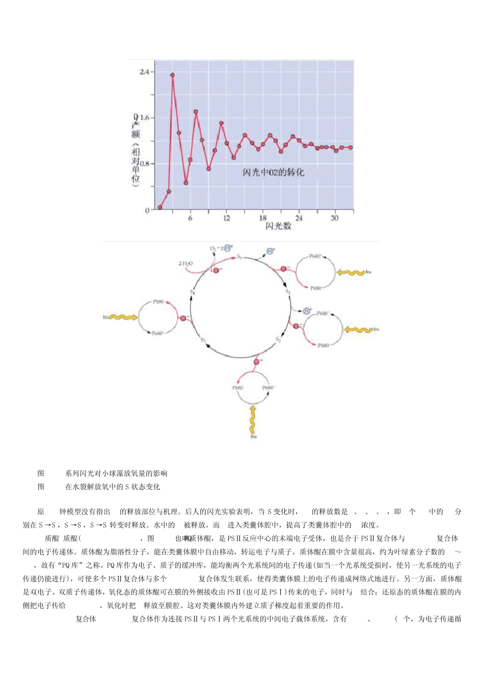 电子传递和光合磷酸化_第3页