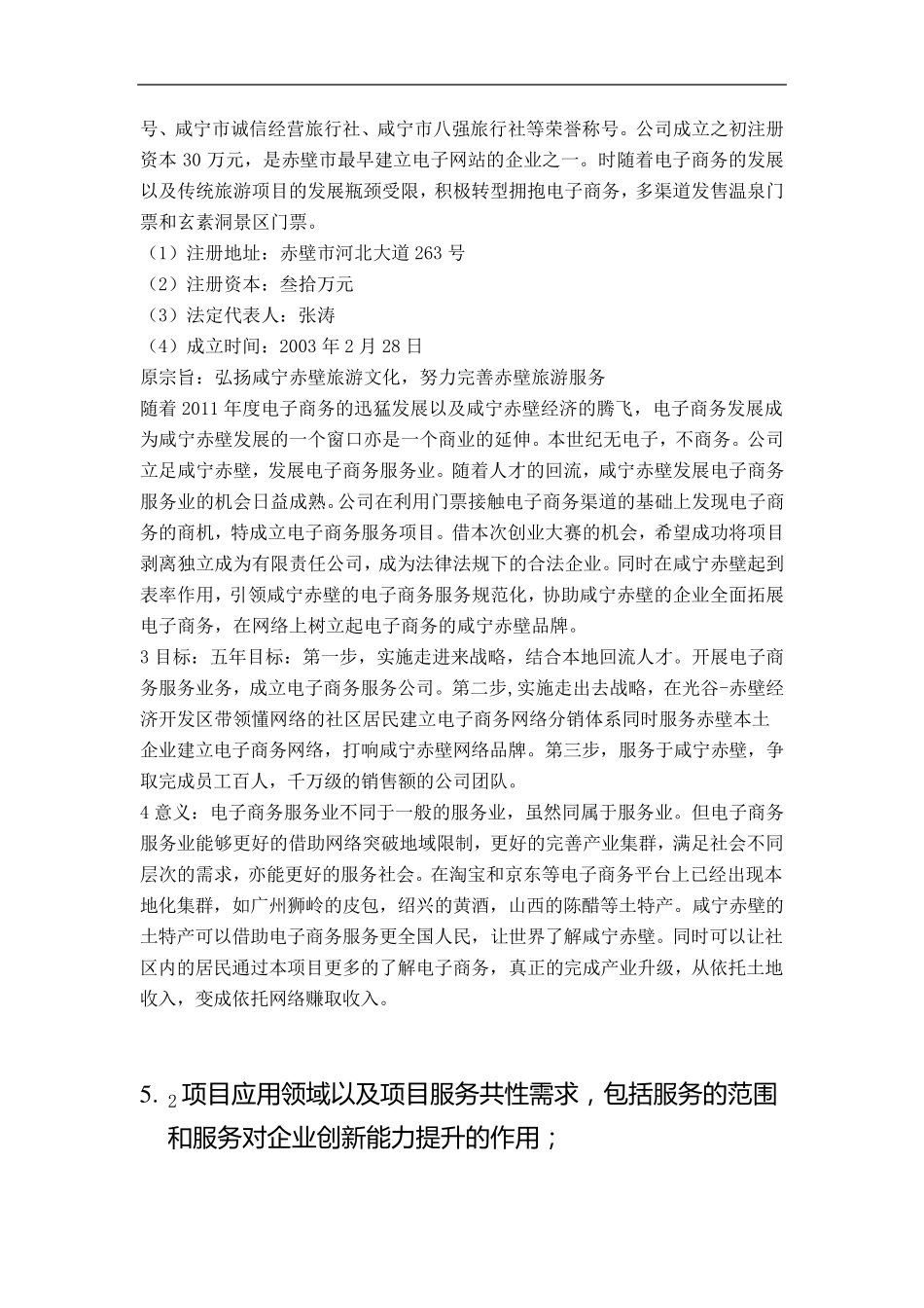 电子商务企业商业计划书_第3页