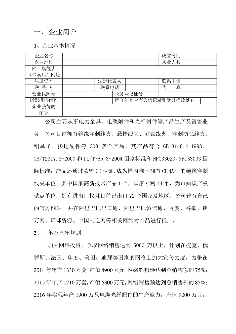 电子商务发展(改造升级电商平台)项目申报书_第2页