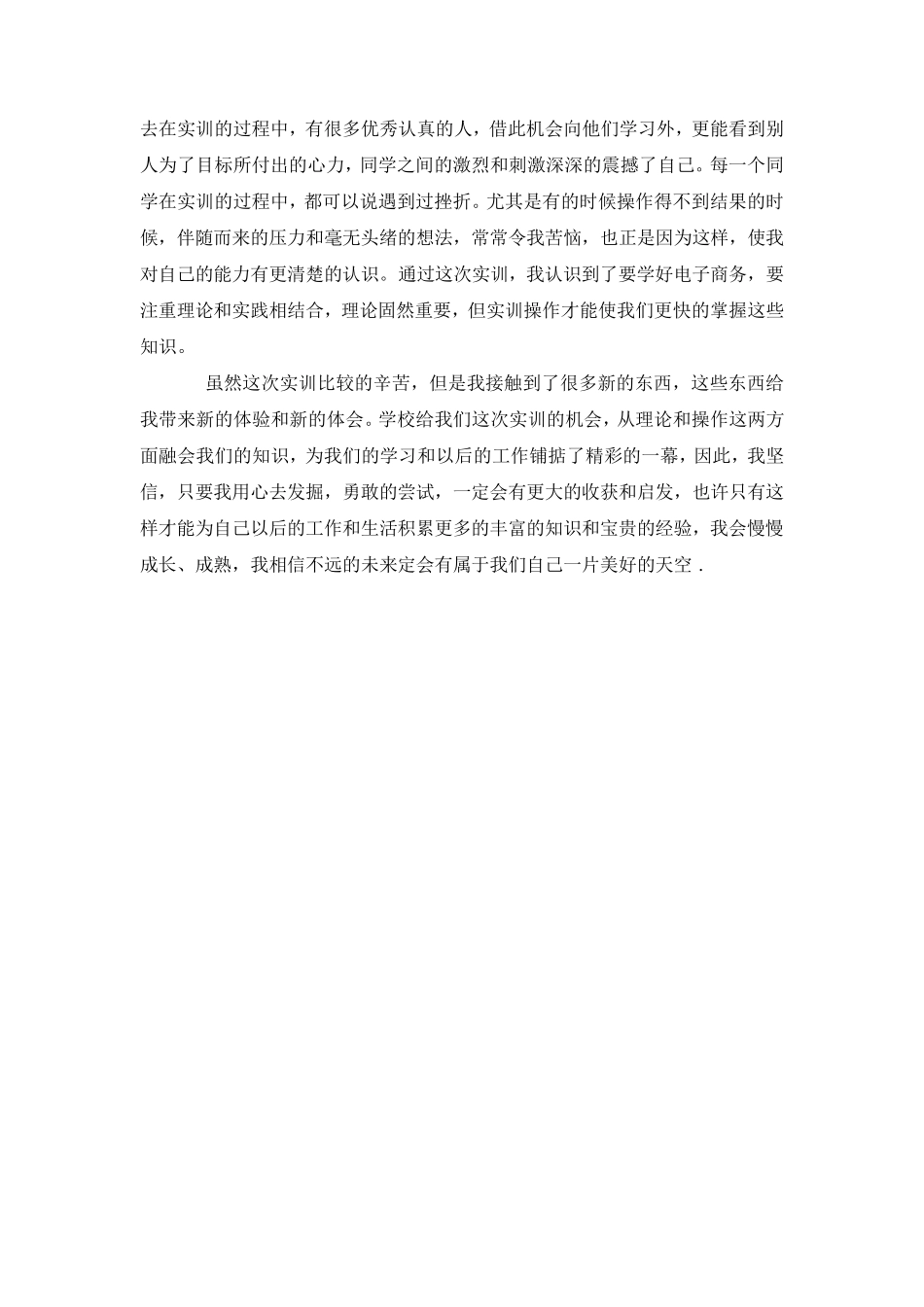 电子商务实训心得例子_第2页