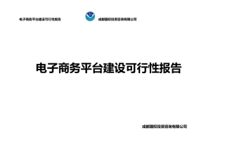 电子商务平台可行性报告