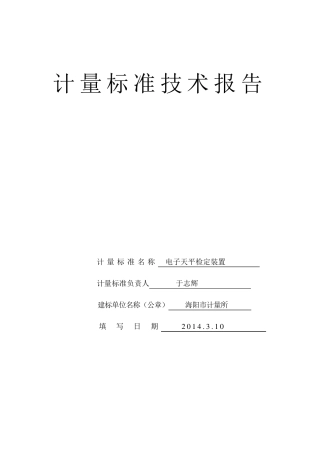 电子天平检定装置技术报告