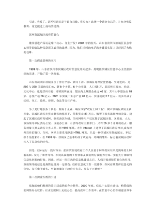 电子政务反面案例