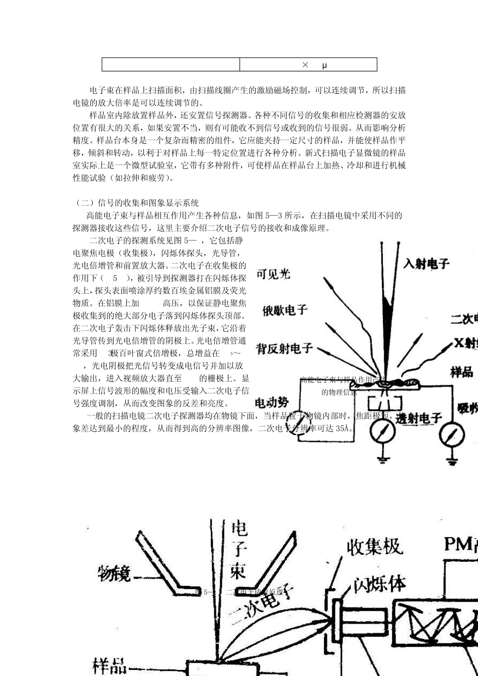 电子显微技术扫描电子显微镜_第3页