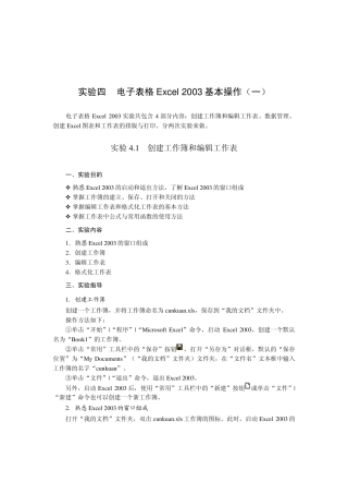 电子表格Excel2003基本操作