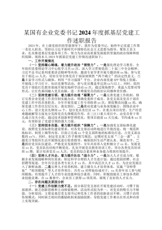 某国有企业党委书记2024年度抓基层党建工作述职报告