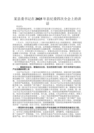 某县委书记在2025年县纪委四次全会上的讲话
