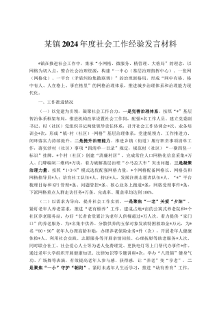 某镇2024年度社会工作经验发言材料