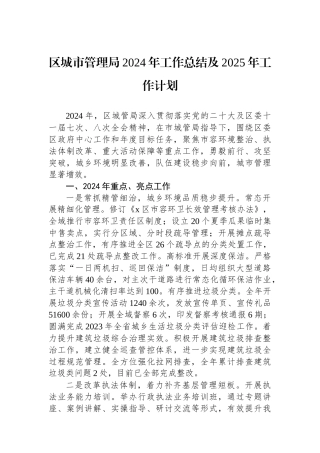 区城市管理局2024年工作总结及2025年工作计划 【资深秘书】