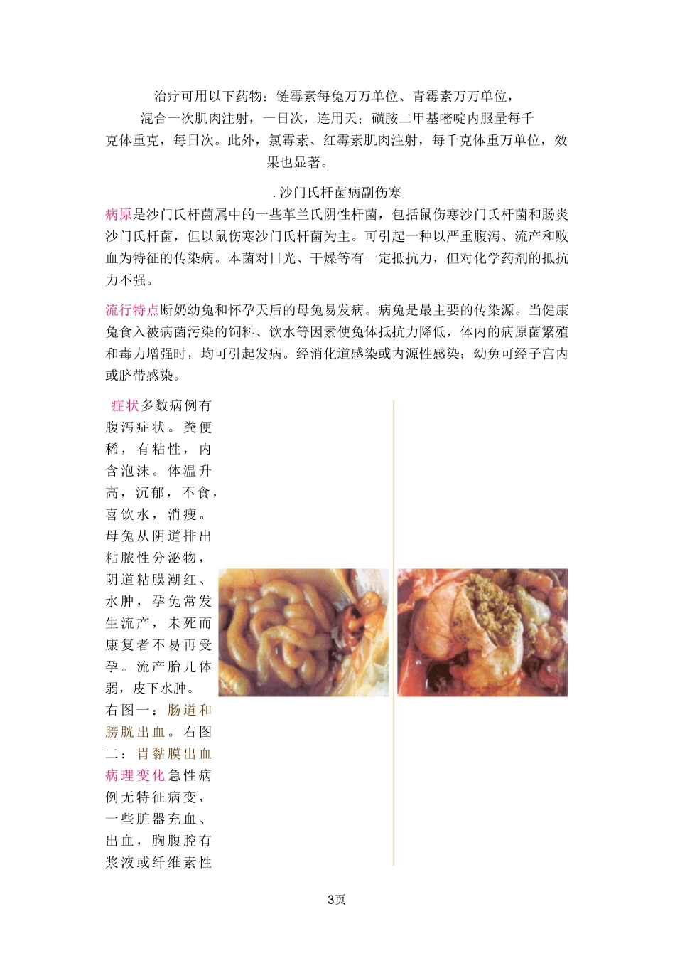 兔常见病的诊断与防治_第3页