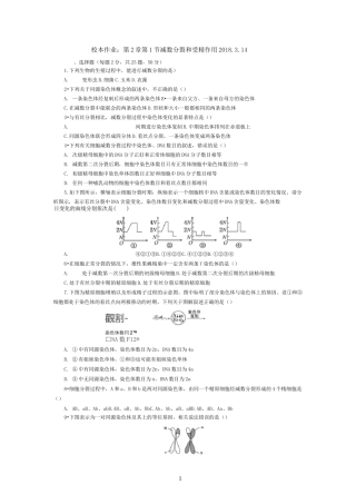 减数分裂和受精作用 练习题