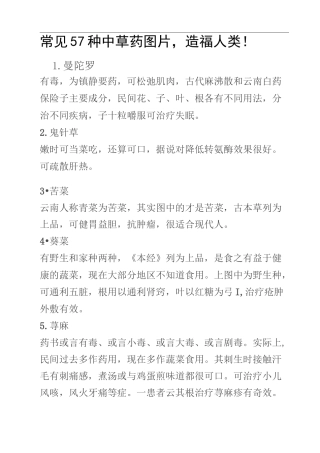 常见57种中草药图片大全