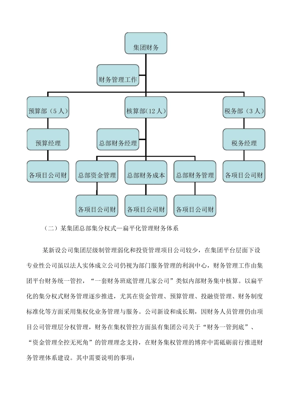 财务体系模式及组织架构方案设计丰富版_第2页