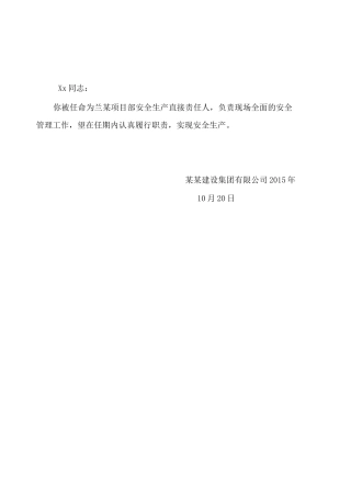 安全生产责任人员任命书