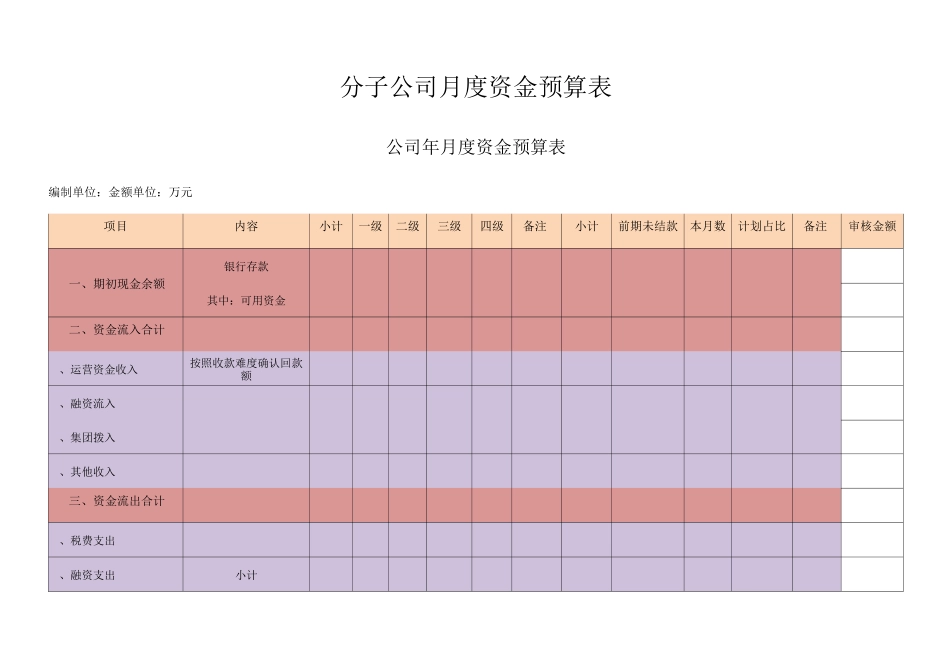 分子公司月度资金预算表_第1页