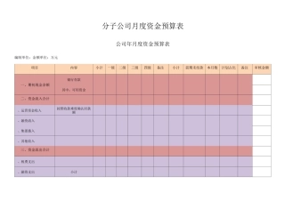 分子公司月度资金预算表