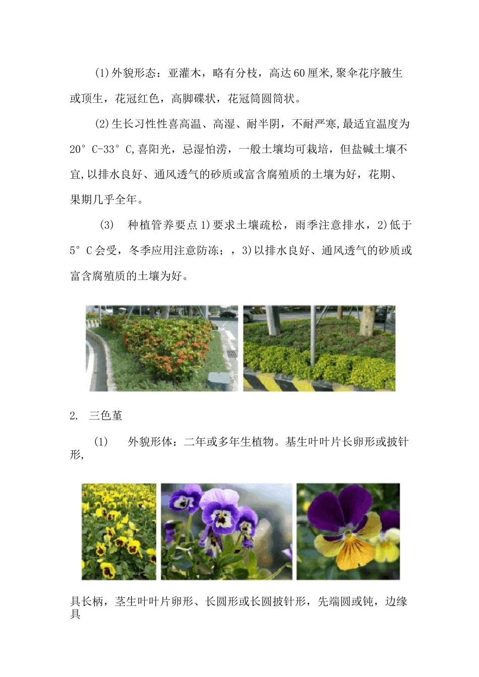 时花种植管养方案_第2页