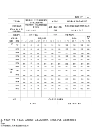 电气绝缘电阻测试记录