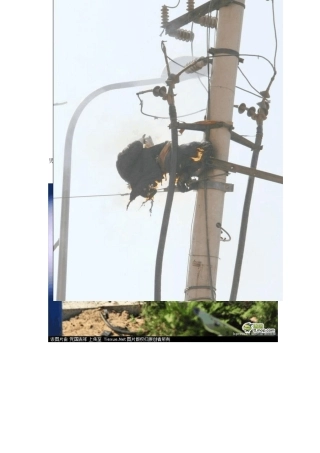 电工安全生产事故案例及图片展示