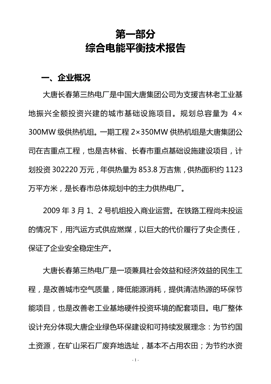 电平衡测试报告_第1页