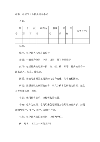 电影分镜头脚本格式