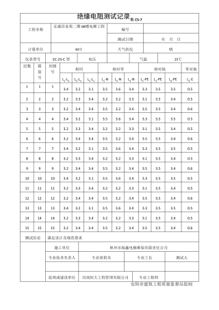 电梯绝缘电阻测试记录表