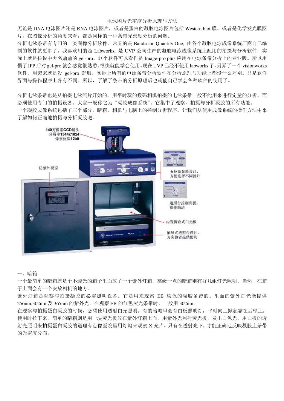 电泳条带的光密度分析原理_第1页