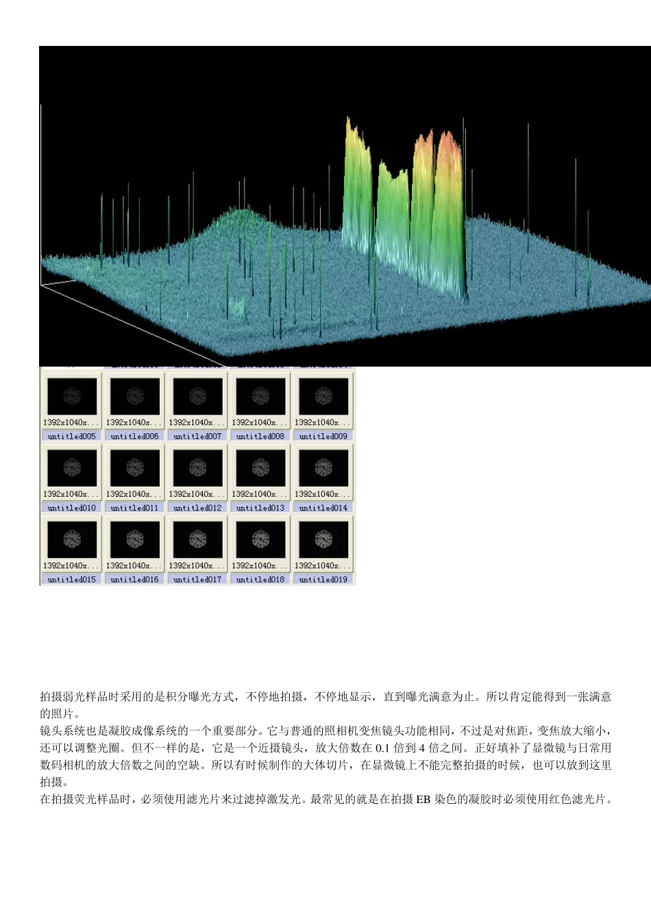 电泳条带的光密度分析原理_第3页