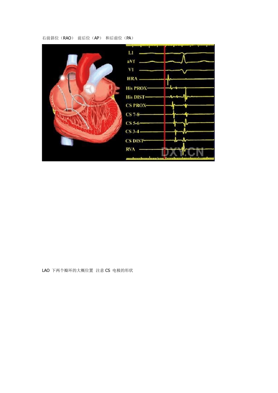 电生理基础知识_第2页