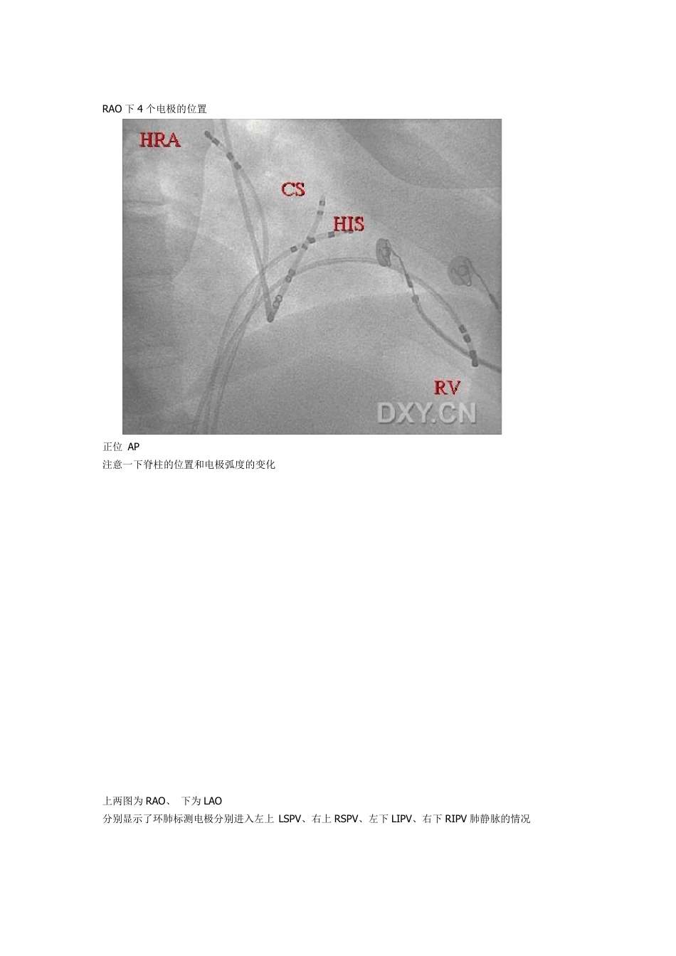 电生理基础知识_第3页