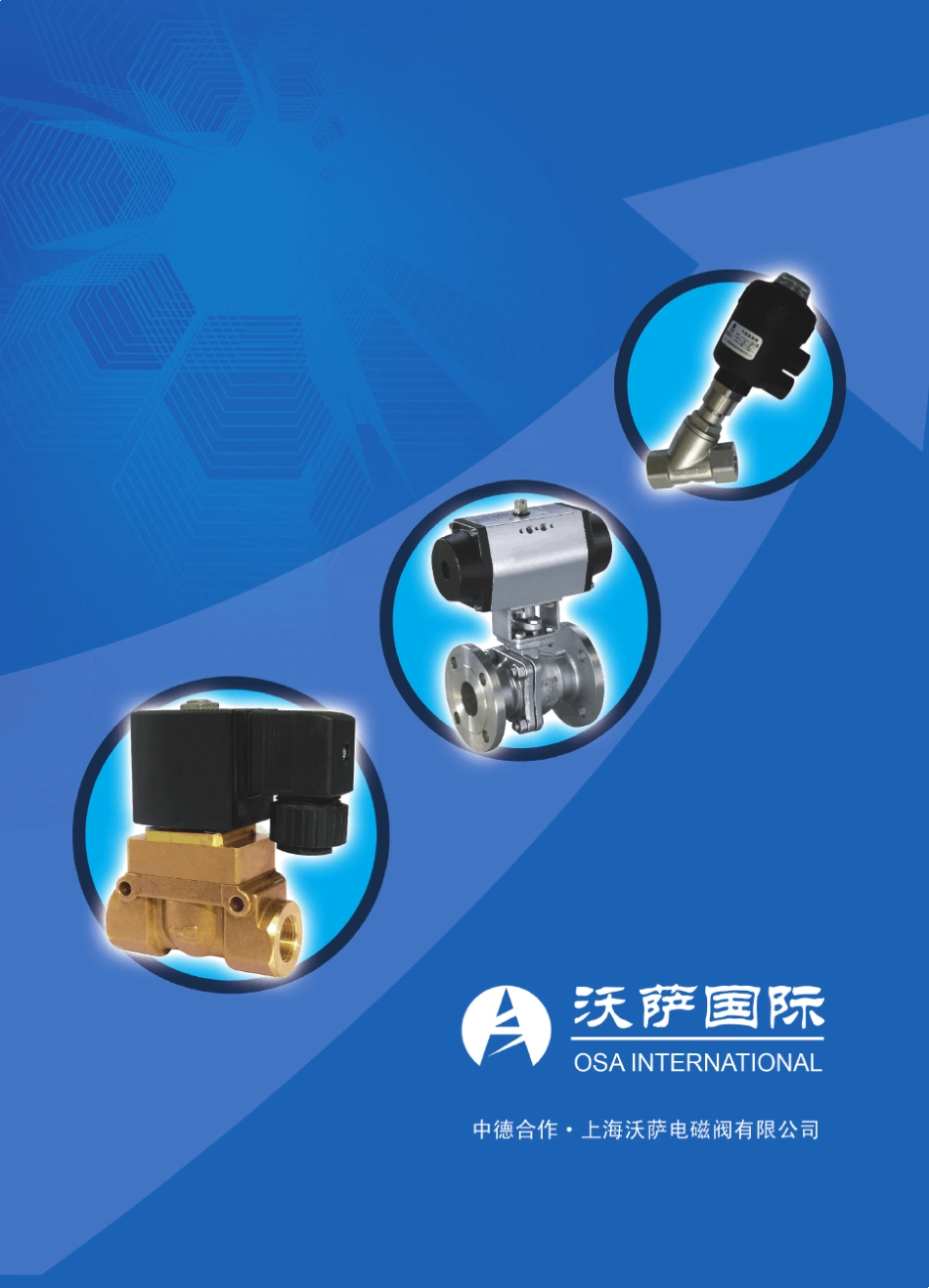 电磁阀沃萨样本_第1页