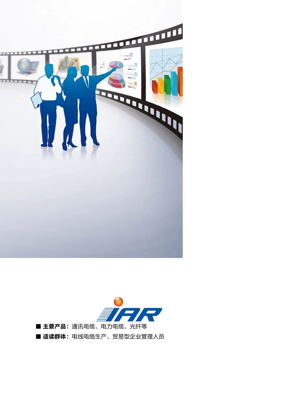 电线电缆行业数据分析报告201006_第2页