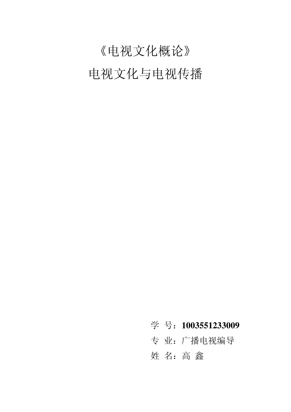 电视文化概论_第1页