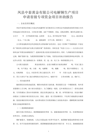 电解铜补助申请报告