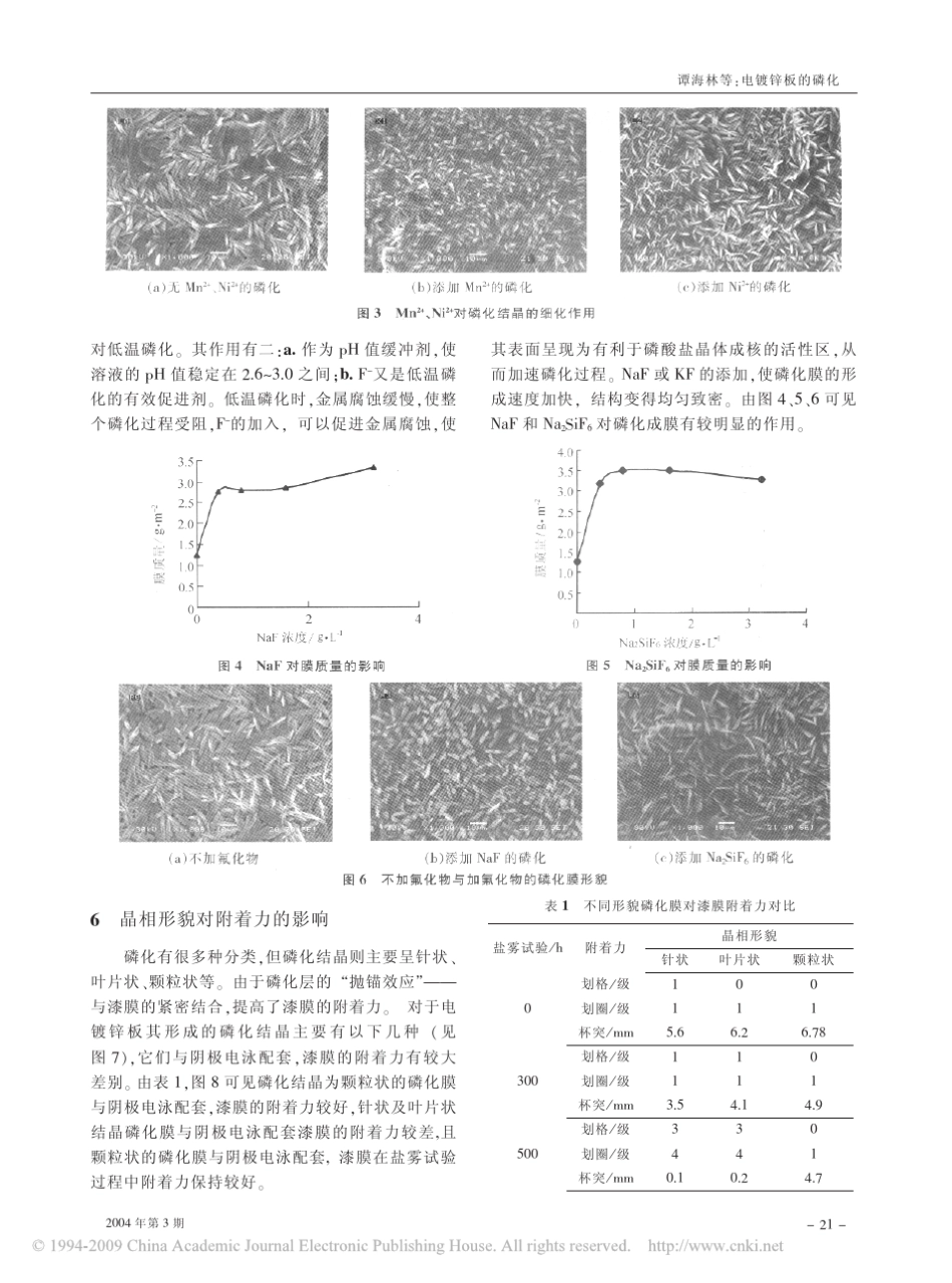 电镀锌板的磷化_第3页