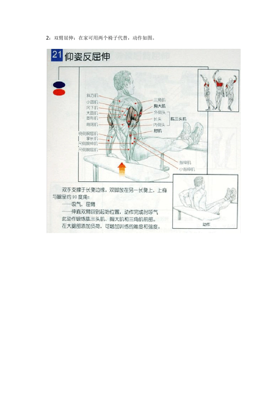 男士健身计划_第2页