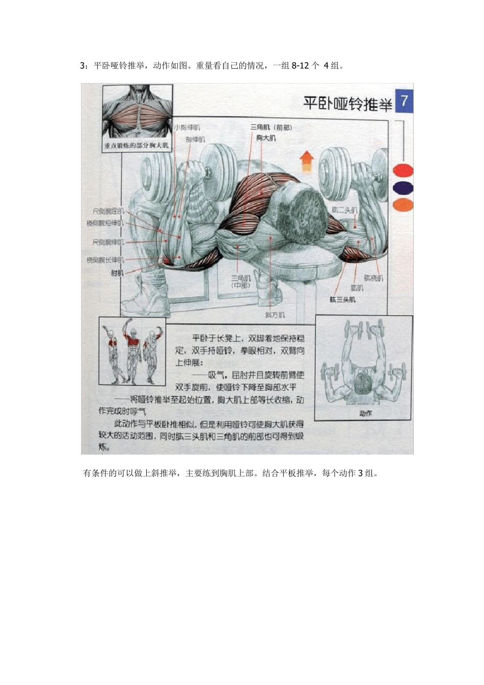 男士健身计划_第3页