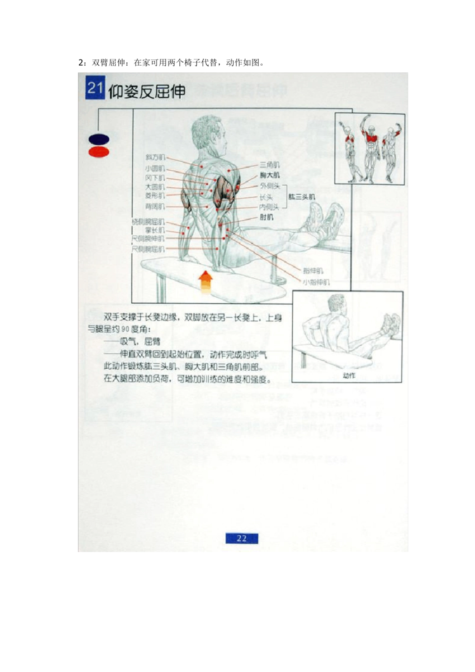 男生健身详细知识_第2页