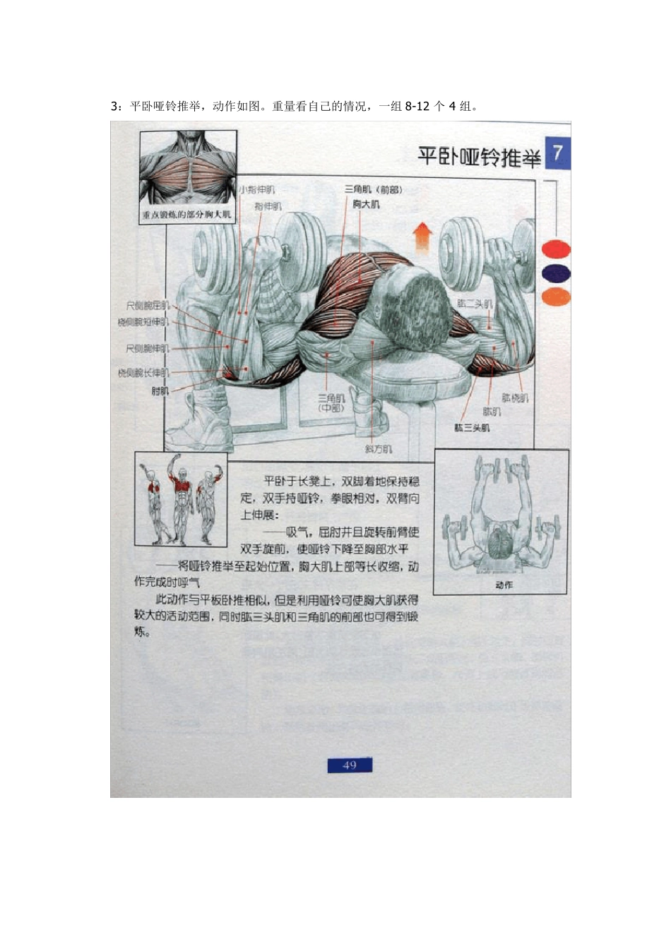男生健身详细知识_第3页