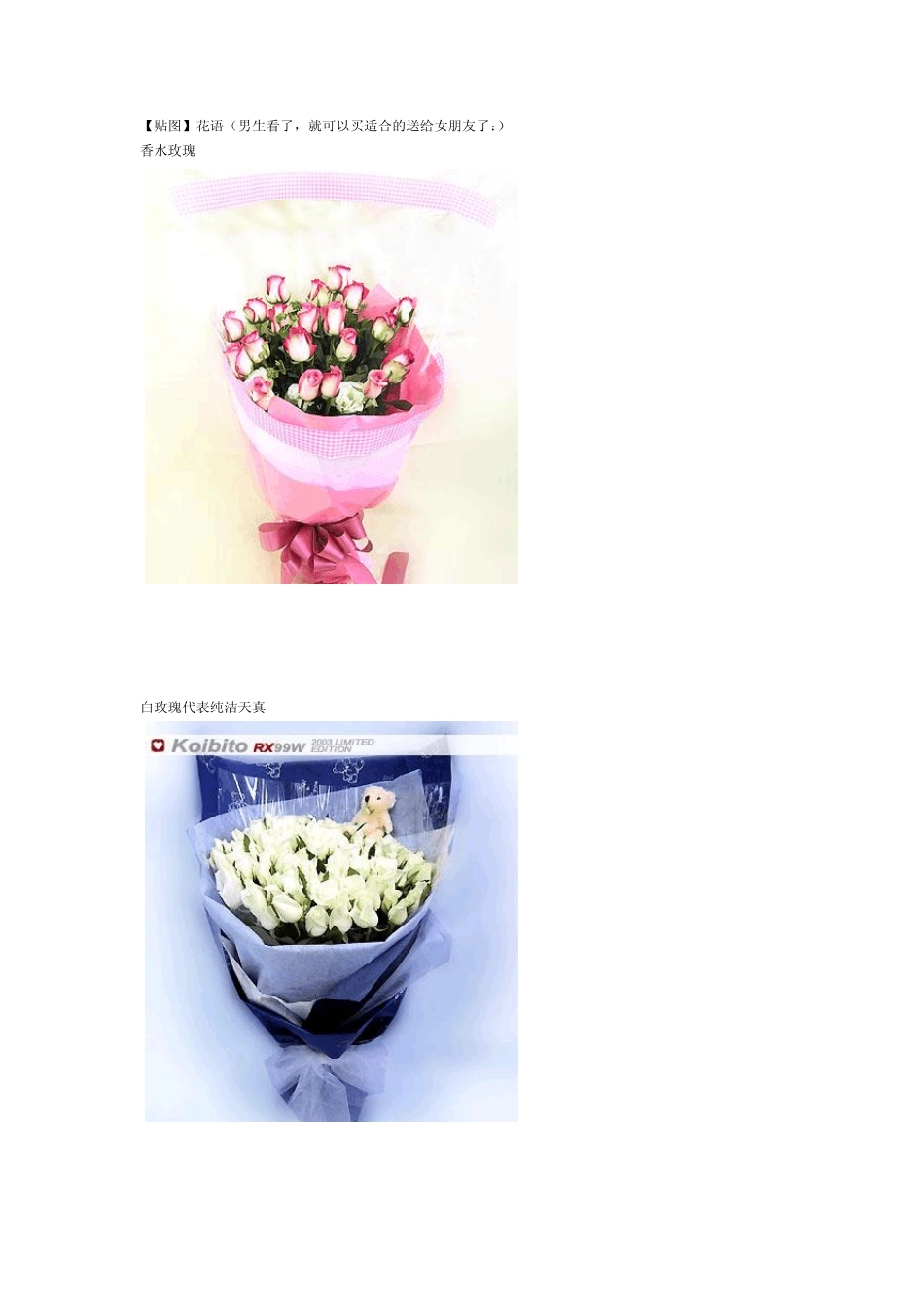 男生送给送花时必备,读懂花语_第1页