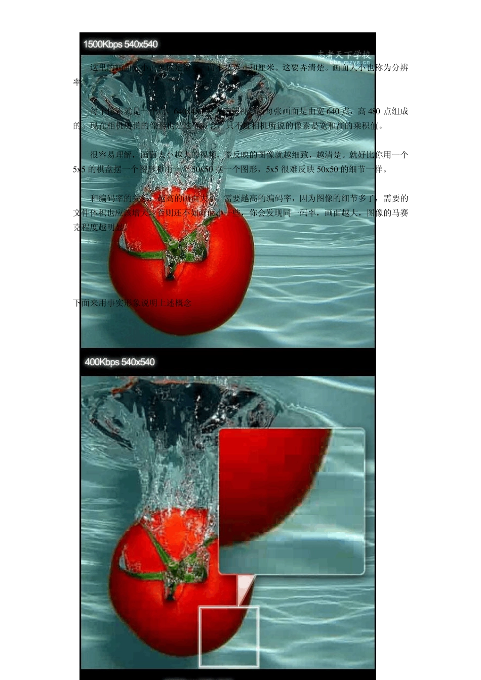画质、码率、帧数、分辨率、体积的基础编码知识_第2页
