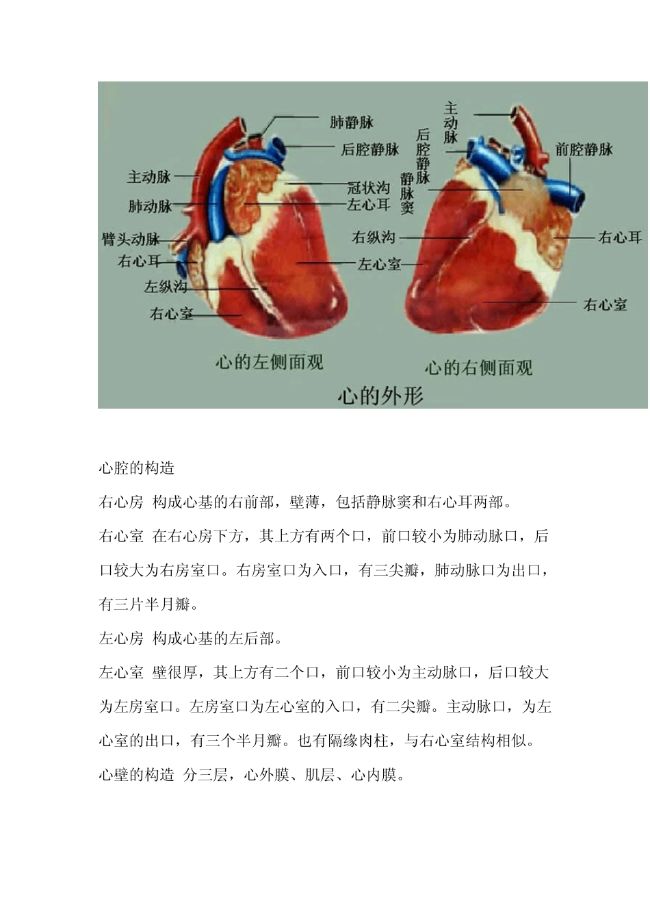 畜牧兽医专业网络课程_第3页